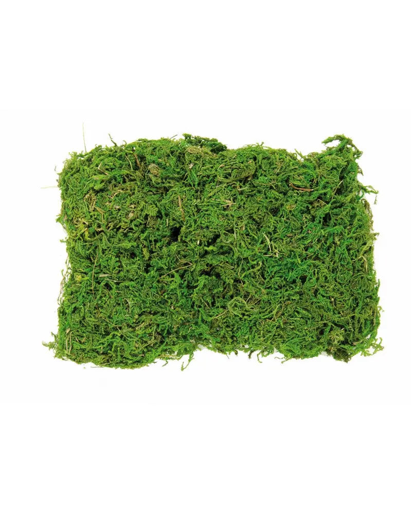 Moos Beutel 50g