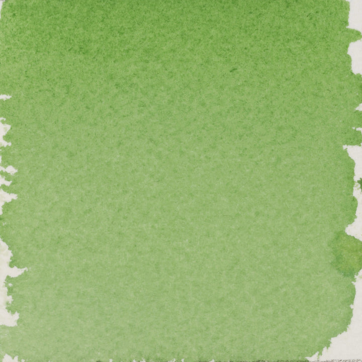 Talens | Pantone Marker-Tinte 30 ml 366 Talens Pantone