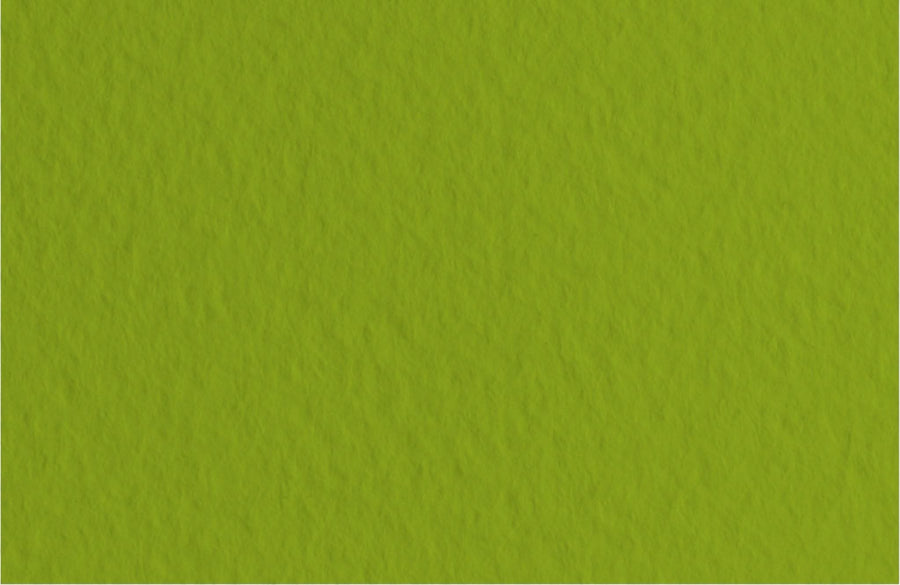 Fabriano Tiziano Bogen "Pistacchio" - A4 - 160g - Kidis Art