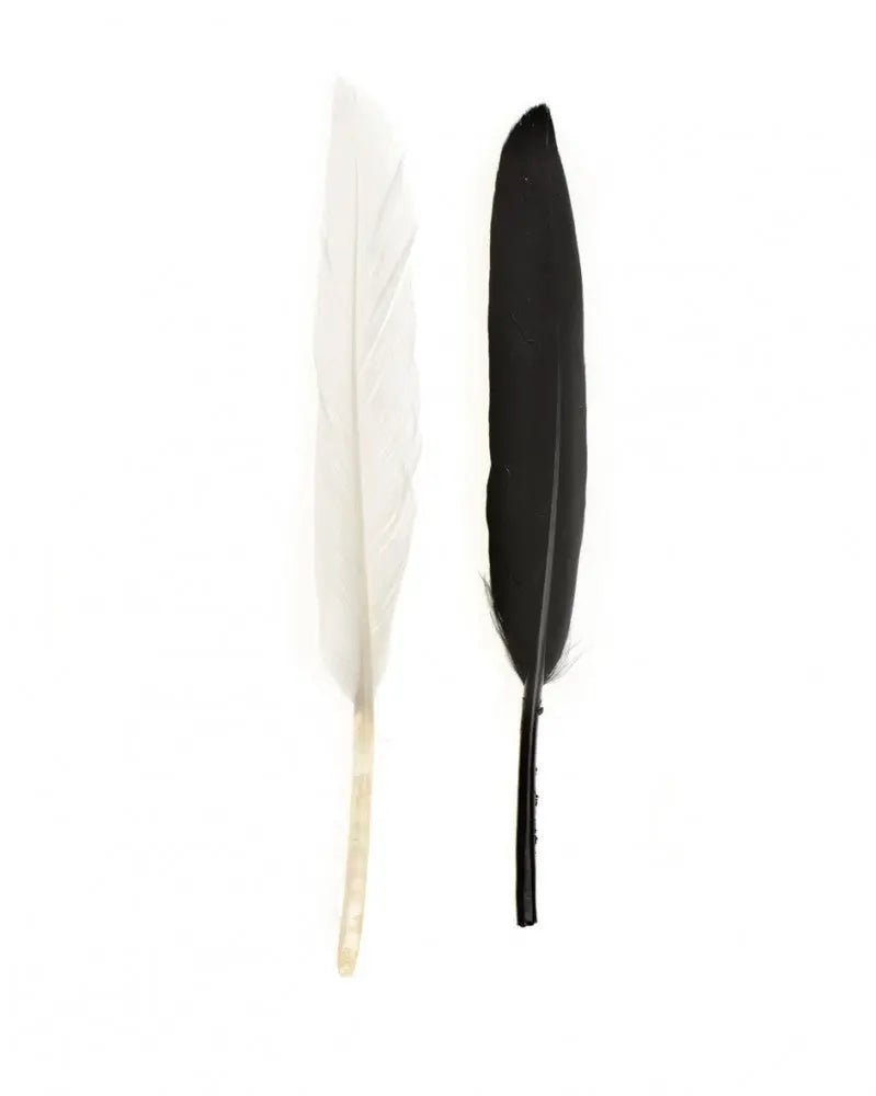 Indianerfeder 13cm ca.15St - Kidis Art