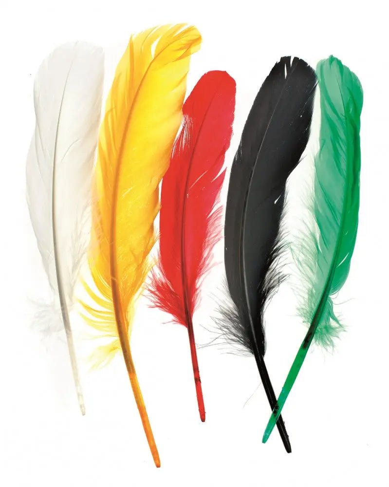 Indianerfeder 16cm ca.15St mix - Kidis Art