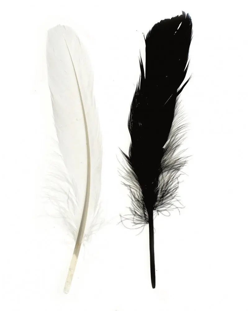 Indianerfeder 16cm ca.15St - Kidis Art