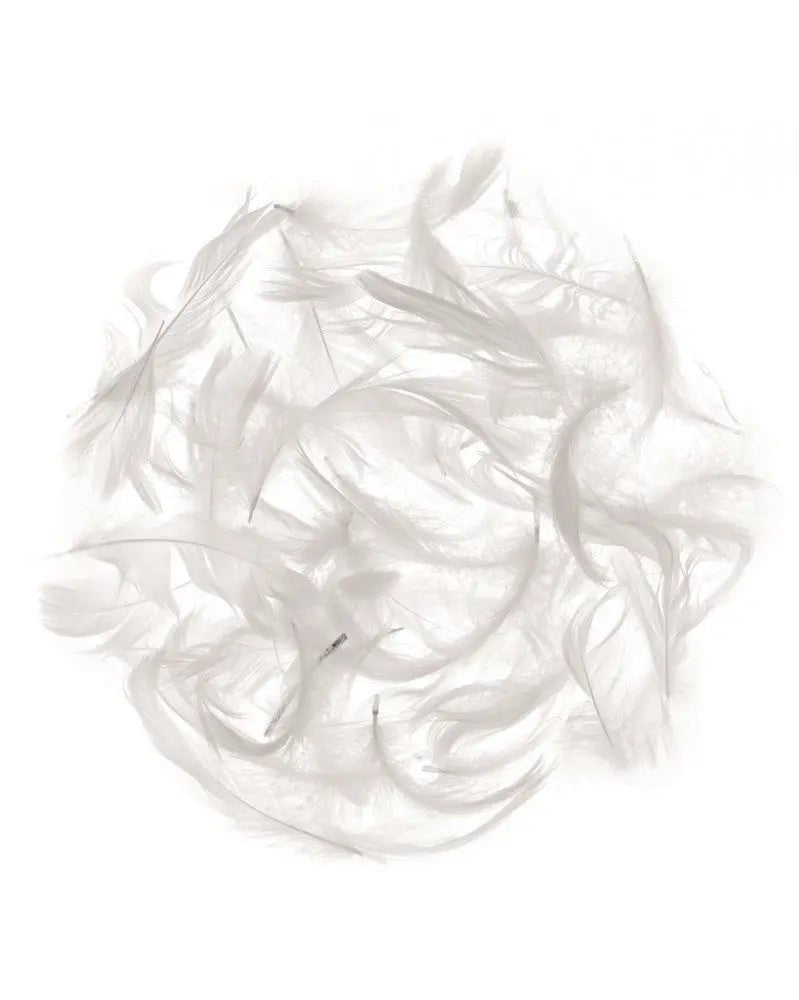 Marabufedern ca. 10g weiss - Kidis Art