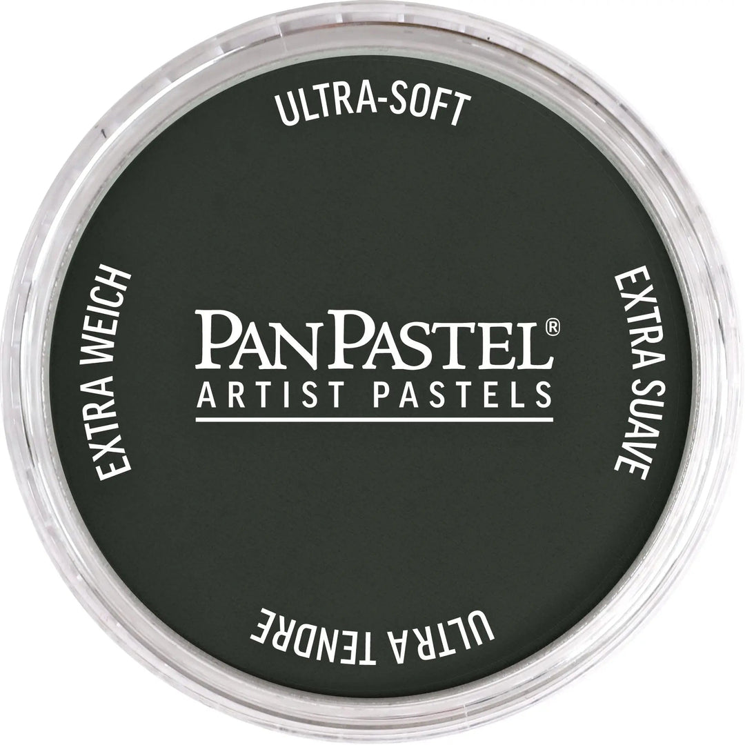 PanPastel 820.1 Neutralgrau Extra Dunkel 1 - Kidis Art