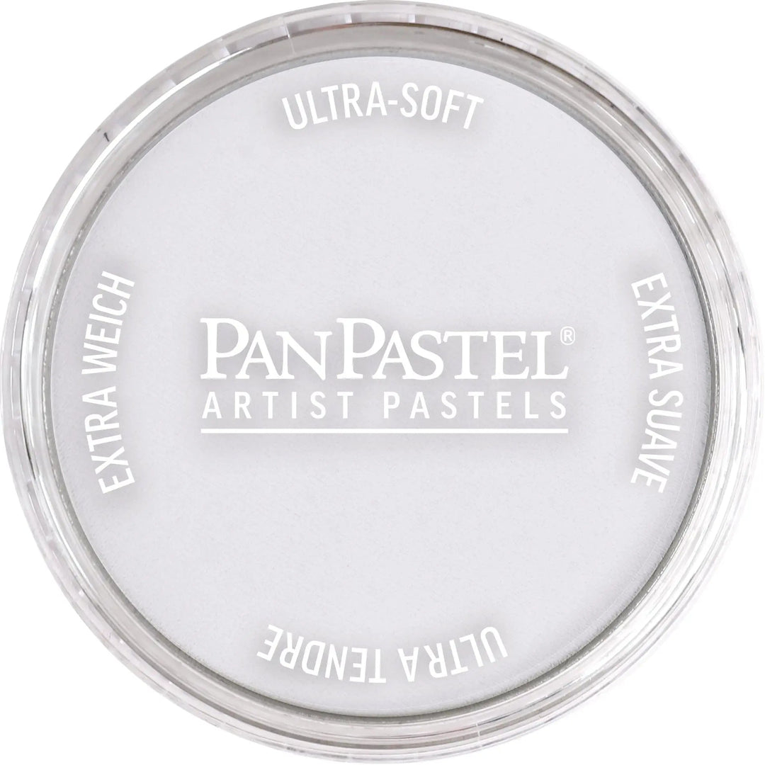 PanPastel 840.8 Paynes Grau Hell 8 - Kidis Art