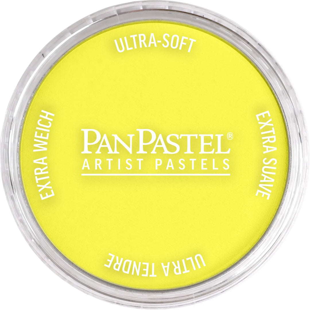 PanPastel Kidis Art