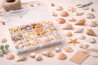 Muscheln