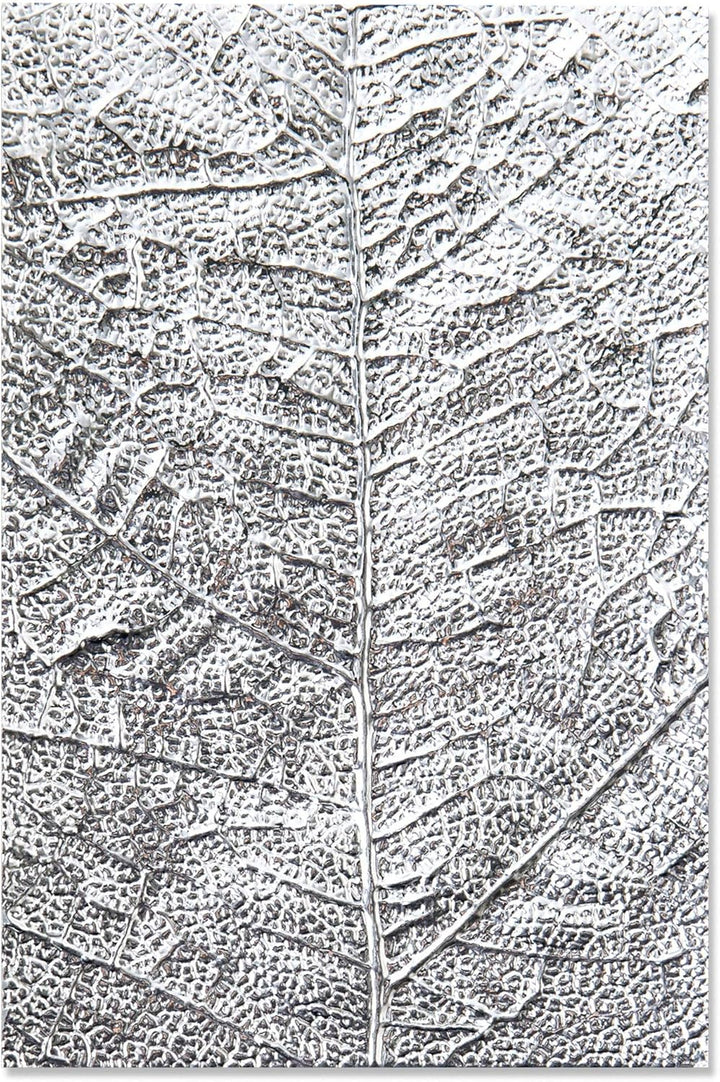 3-D Textured Impressions Prägefolder - Blattadern - Kidis Art