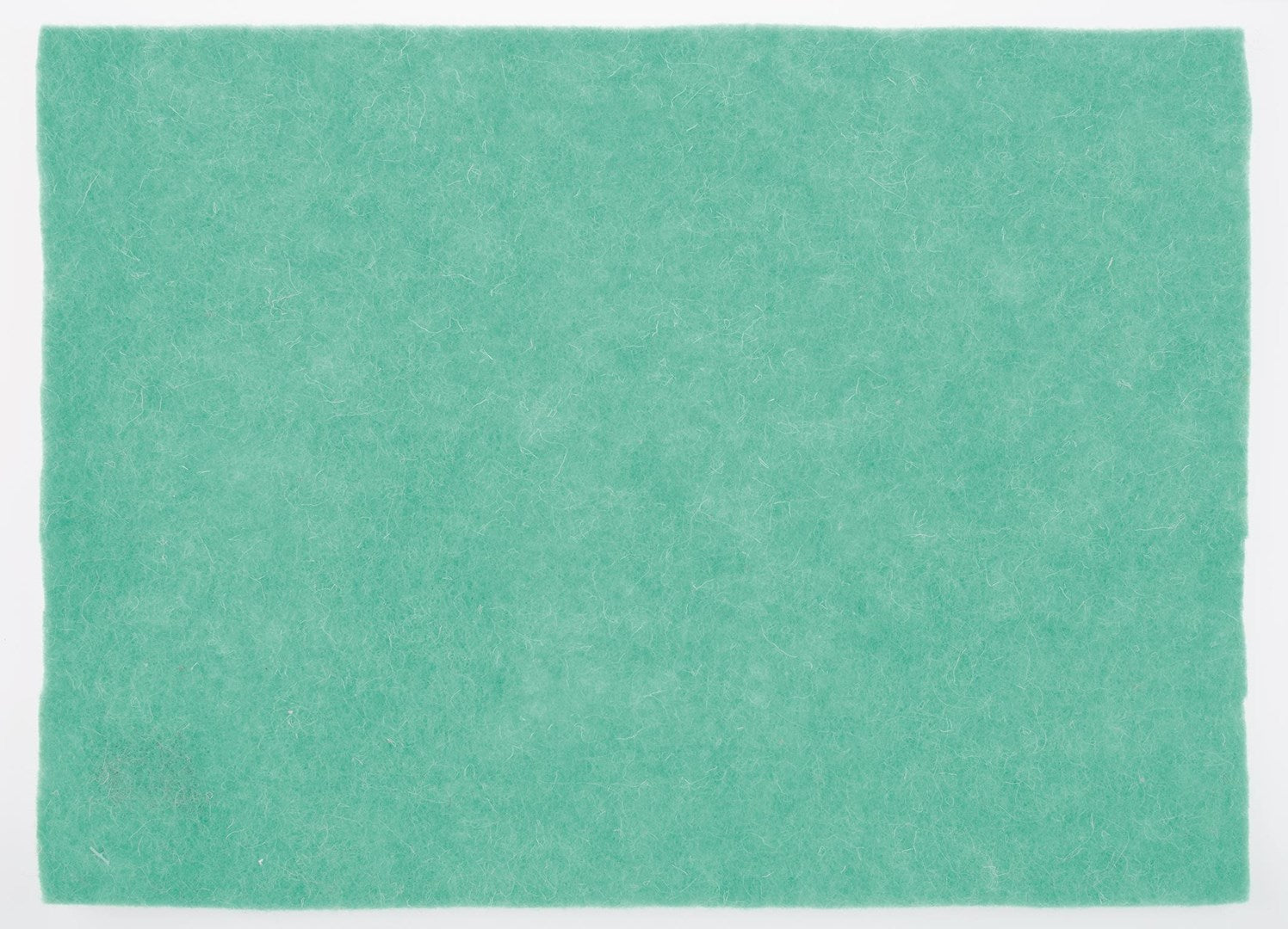 Wollfilz-Platte 30x40cm 4mm gerollt, mint
