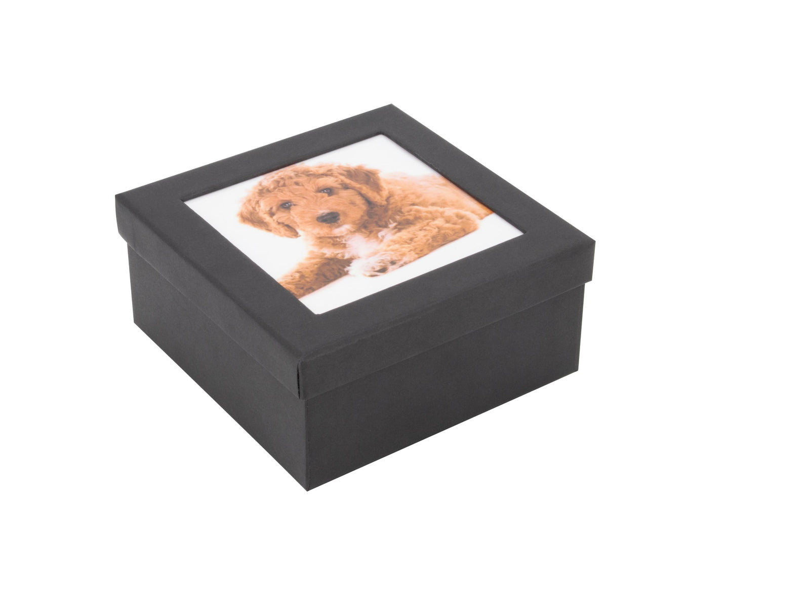 Black-Box Passepart. 11x11x5cm
