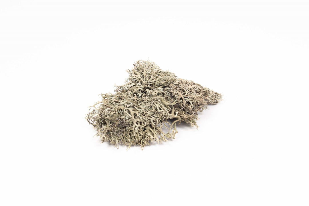 Graumoos 50g