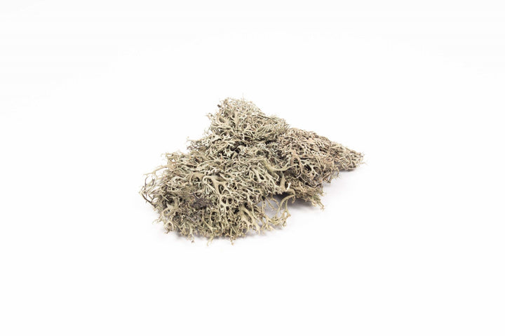 Graumoos 50g
