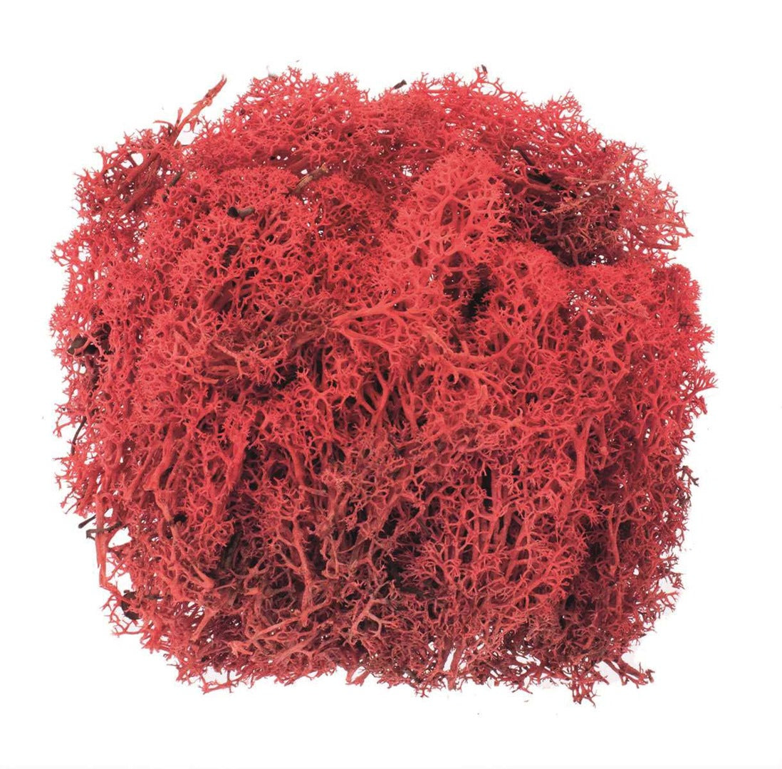 Islandmoos rot 50g