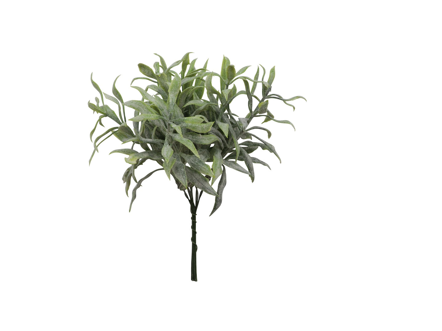 Thymianzweig, grün, 16cm