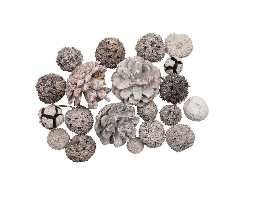 Zapfen-Mix Set 3, 70g gewaschen