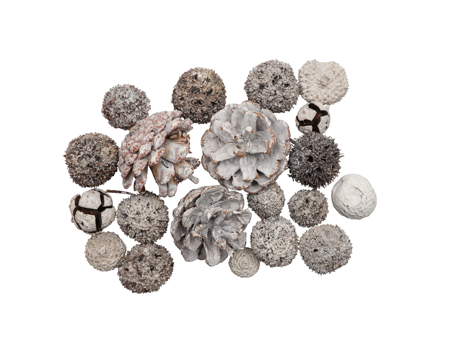 Zapfen-Mix Set 3, 70g gewaschen