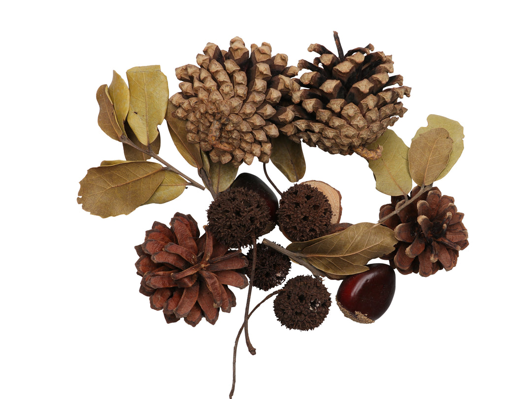 Zapfen-Mix Set 4, 70g mit Kastanien