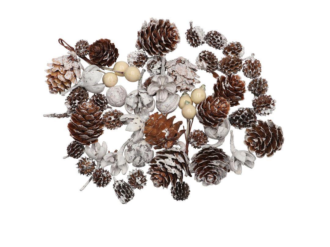 Zapfen-Mix Set 5, 70g mit weissen Beeren