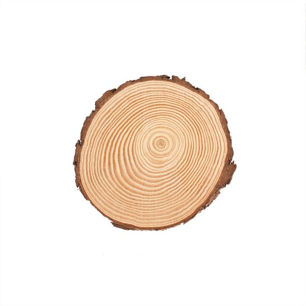 Holzscheibe 15x1,5cm, FSC Kiefernholz, CN