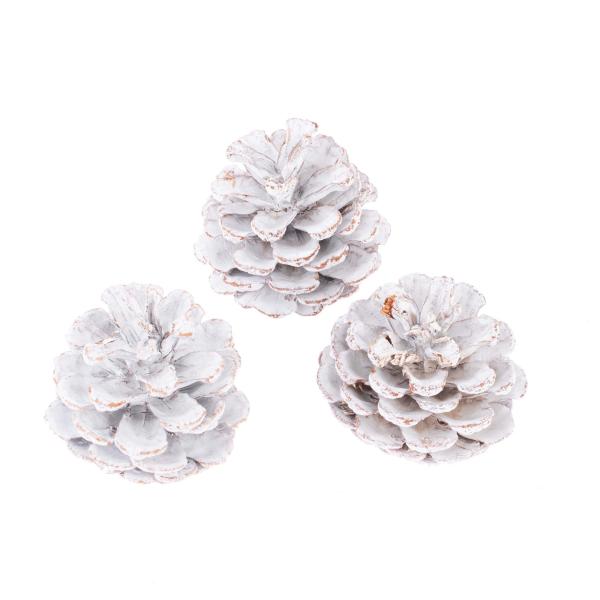 Kieferzapfen, weiss 6-8cm, 200g