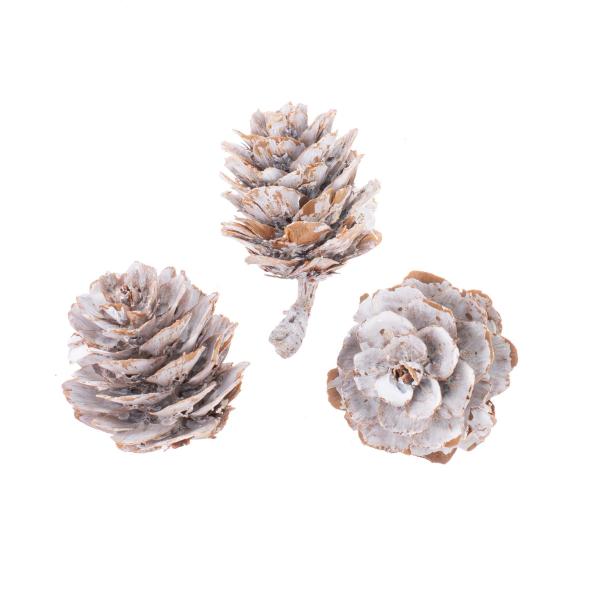 Zapfen Mix, weiss 2-4cm, 50St.