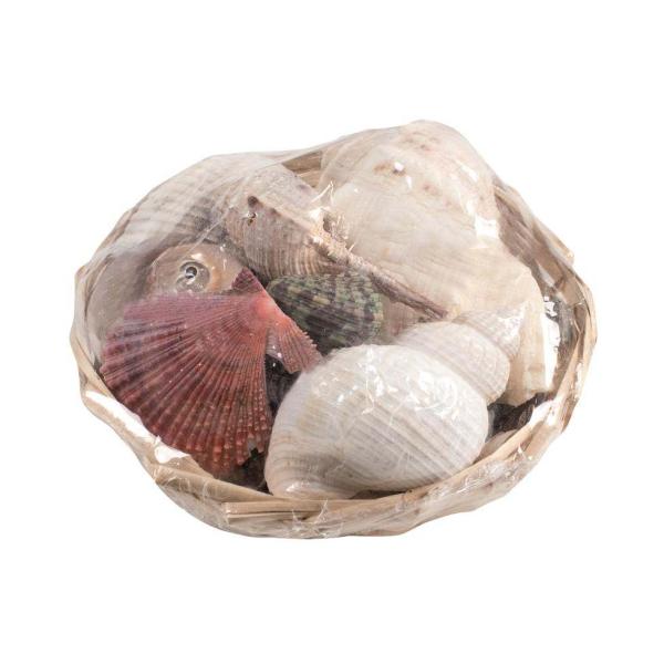 Muschelmix 350g 14cm