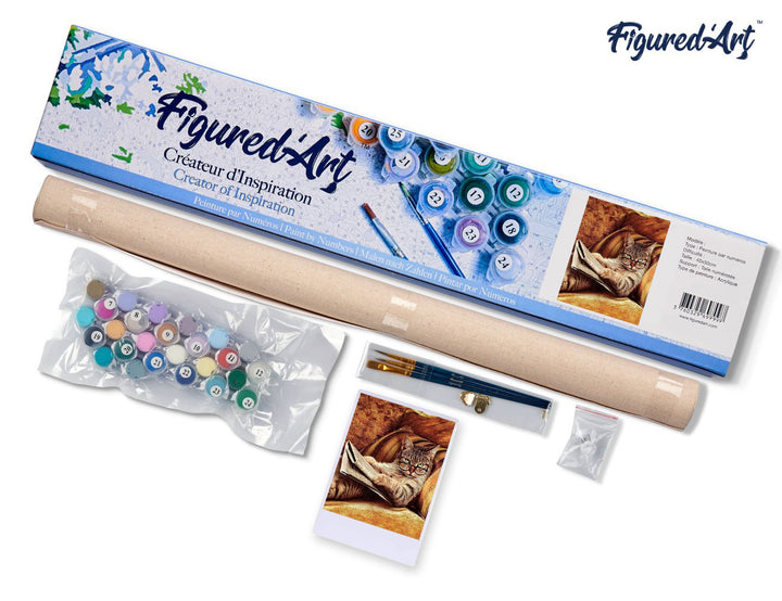 Malen nach Zahlen 40x50cm ohne Keilrahmen Figured’Art Katzenexperte