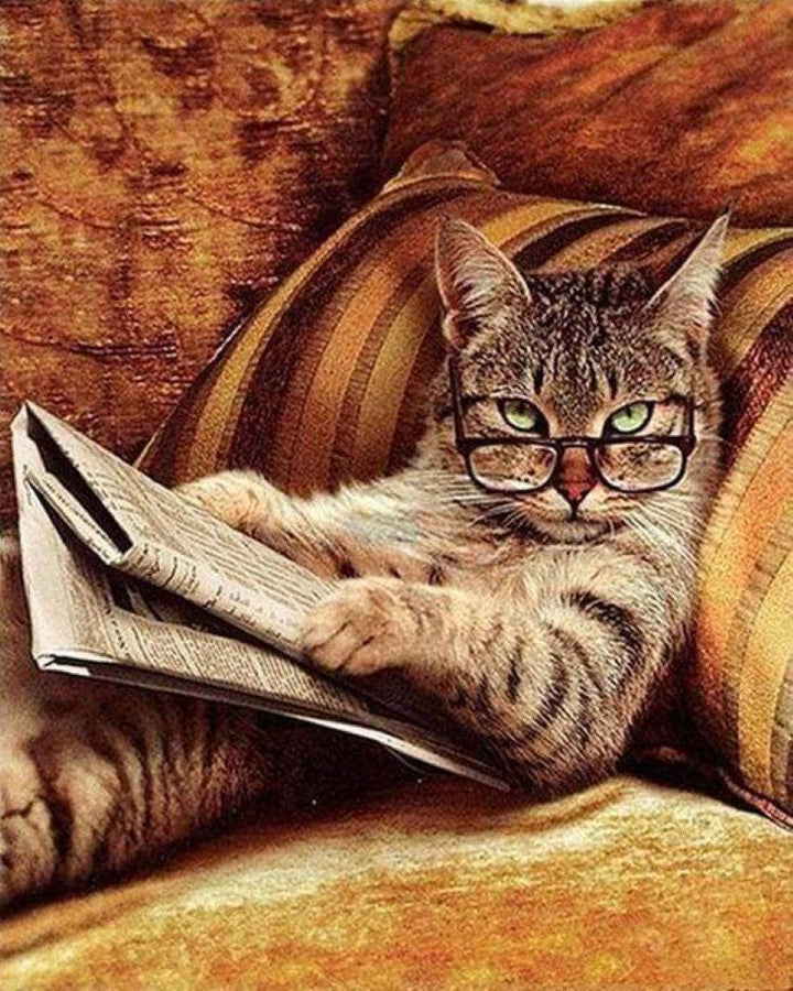 Kreuzstich 32x40cm – Katzenexperte