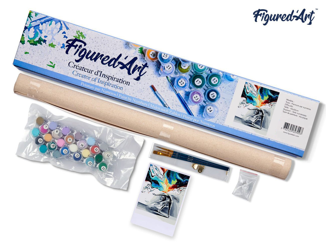 Malen nach Zahlen 40x50cm ohne Keilrahmen Figured’Art Farbexplosion