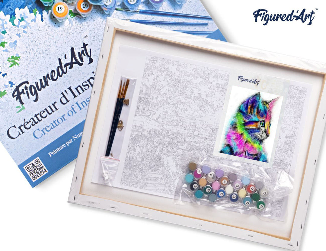 Figured'Art Malen Nach Zahlen Set 40x50 cm Auf Keilrahmen Buntes Kätzchen Komplettset - Kidis Art