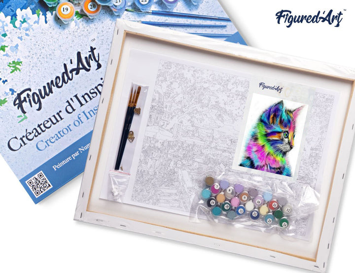Figured'Art Malen Nach Zahlen Set 40x50 cm Auf Keilrahmen Buntes Kätzchen Komplettset - Kidis Art