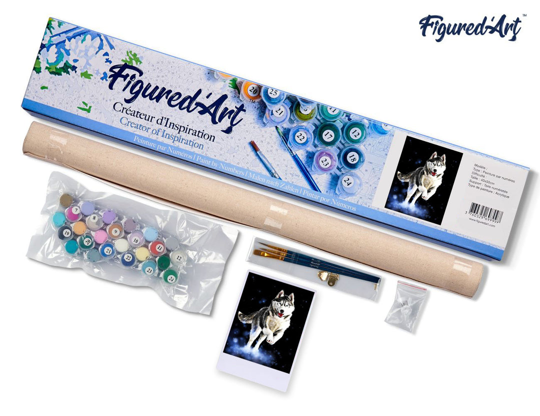 Malen nach Zahlen 40x50cm ohne Keilrahmen Figured’Art Husky