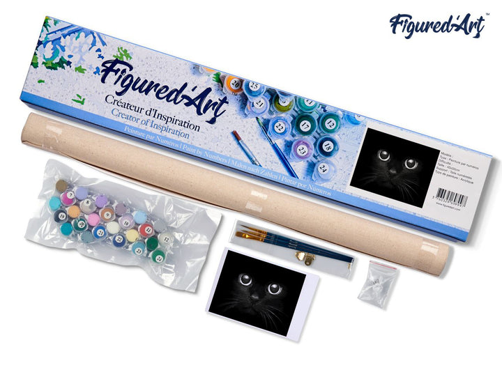 Malen nach Zahlen 40x50cm ohne Keilrahmen Figured’Art Schwarzer Katzenkopf