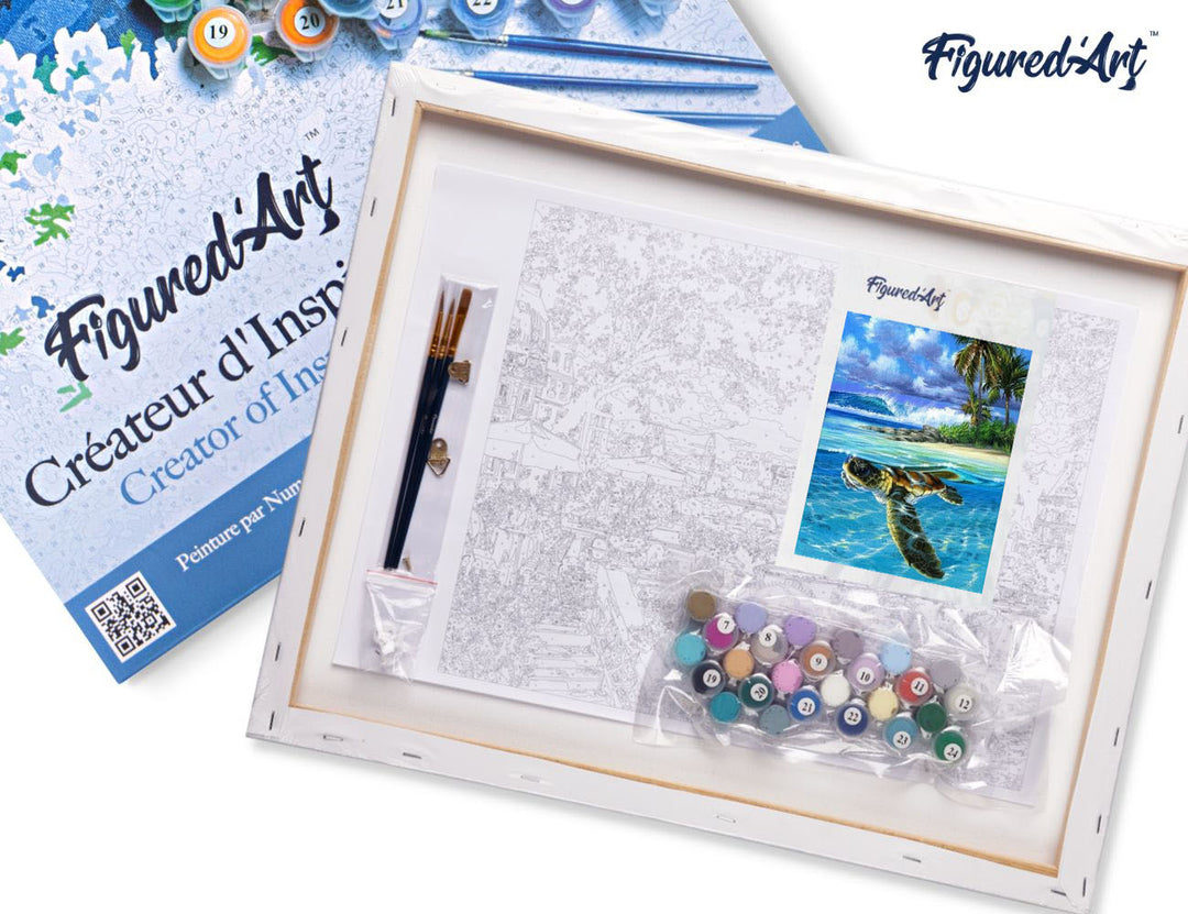 Malen nach Zahlen 40x50cm auf Keilrahmen gespannt Figured’Art Entspannte Schildkröte