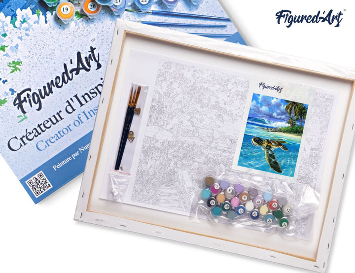 Malen nach Zahlen 40x50cm auf Keilrahmen gespannt Figured’Art Entspannte Schildkröte