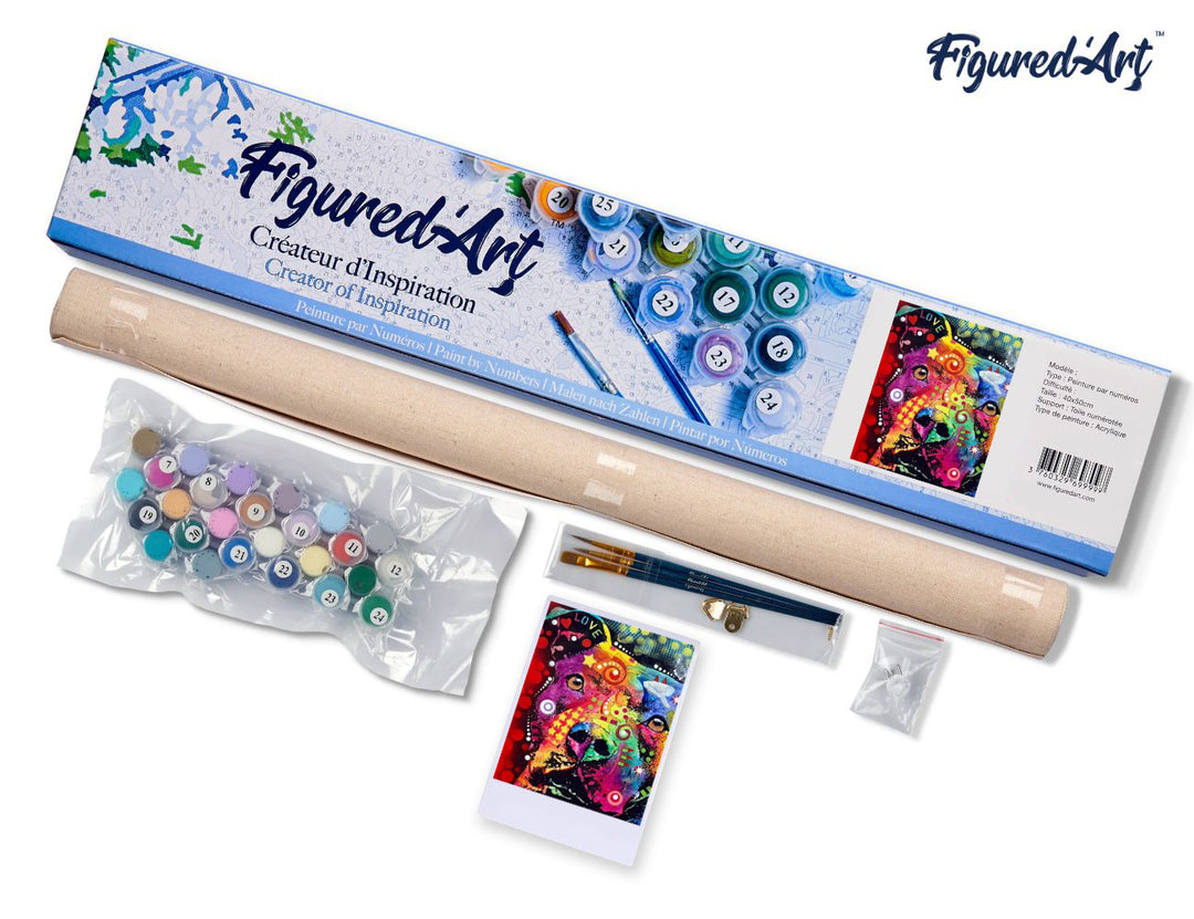 Malen nach Zahlen 40x50cm ohne Keilrahmen Figured’Art Bunter Hund abstrakt - Kidis Art