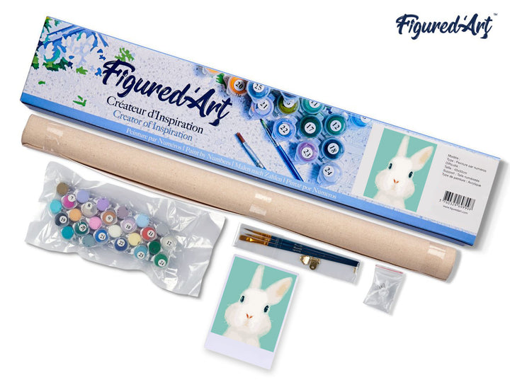 Malen nach Zahlen 40x50cm ohne Keilrahmen Figured’Art Weisses Kaninchen