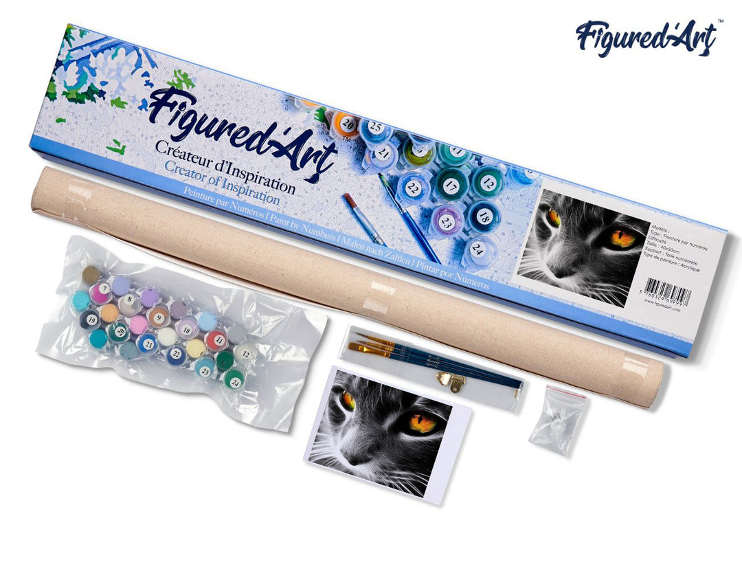 Malen nach Zahlen 40x50cm ohne Keilrahmen Figured’Art Traurige Katze