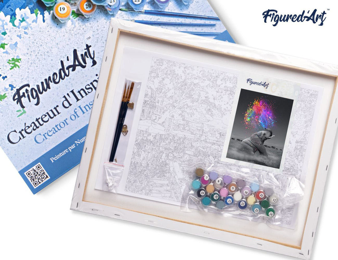 Malen nach Zahlen 40x50cm auf Keilrahmen gespannt Figured’Art Elefant und Farbexplosion