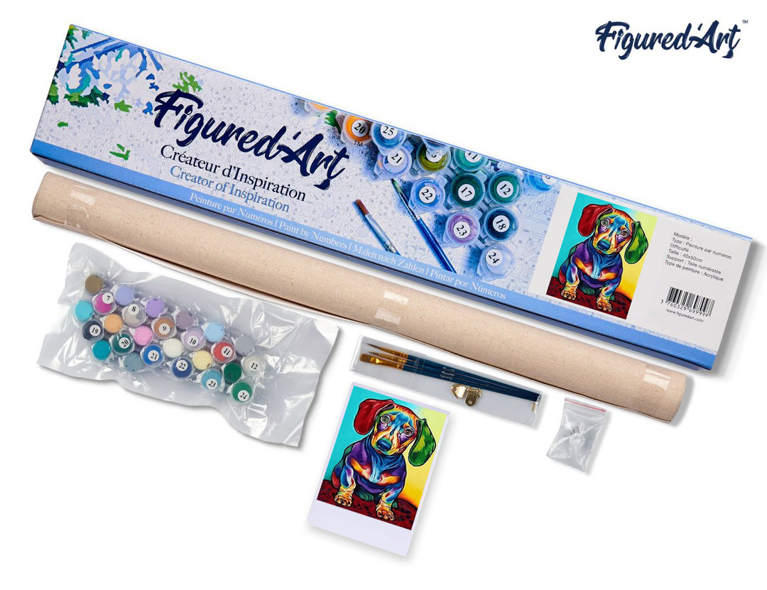 Malen nach Zahlen 40x50cm ohne Keilrahmen Figured’Art Kleiner bunter Hund