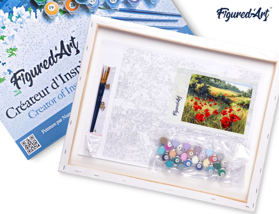 Malen nach Zahlen 40x50cm auf Keilrahmen gespannt Figured’Art Blumen im Feld 3