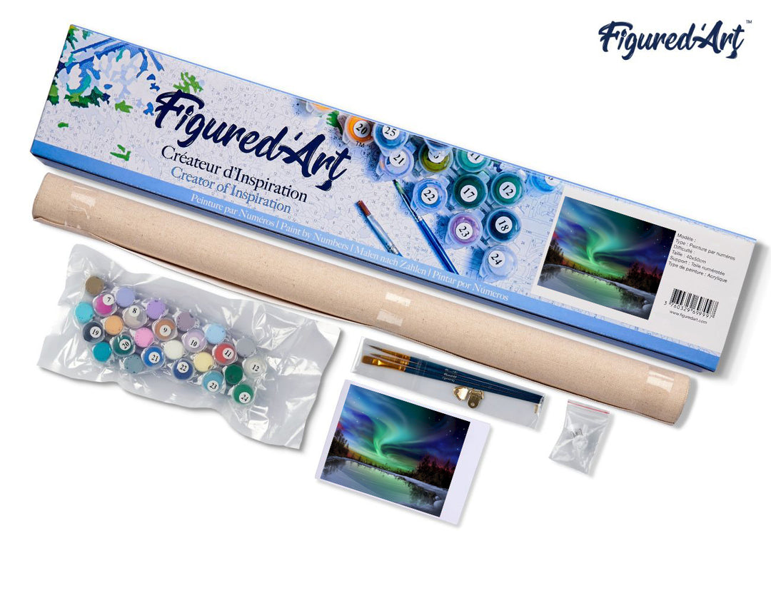 Malen nach Zahlen 40x50cm ohne Keilrahmen Figured’Art Polarlicht