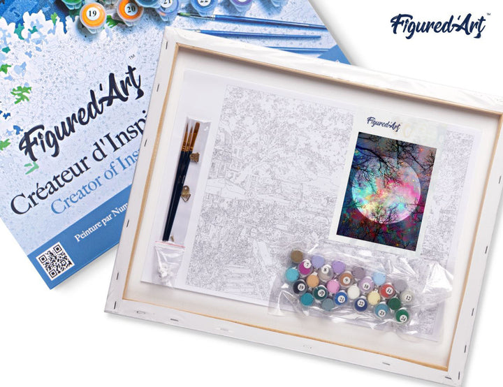 Figured'Art Malen Nach Zahlen 40x50 Cm Auf Keilrahmen Vollmond Mit Bunten Farben Und Vorgemischten Acrylfarben - Kidis Art