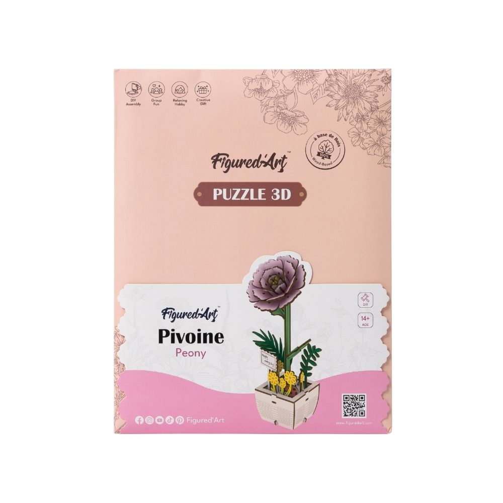 3D Puzzle - Pfingstrose