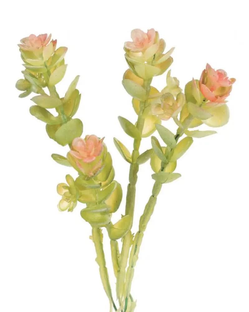 Caryophyllaceae 16cm - Kidis Art