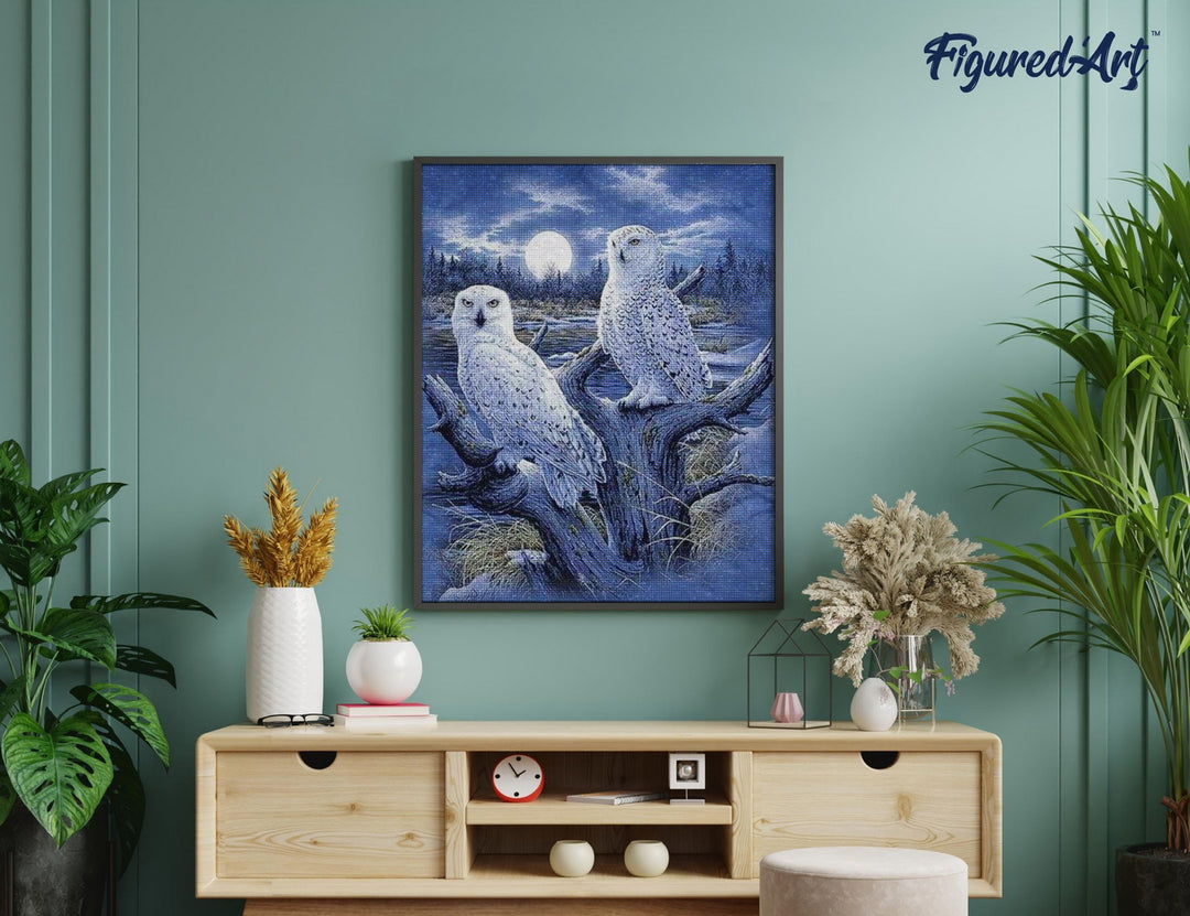 Diamond Painting 40x50 gerollte Leinwand Figured’Art Eulen und Mond - Kidis Art