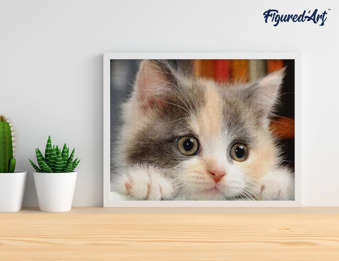 Diamond Painting 40x50 gerollte Leinwand Figured’Art Kleine neugierig Katze - Kidis Art