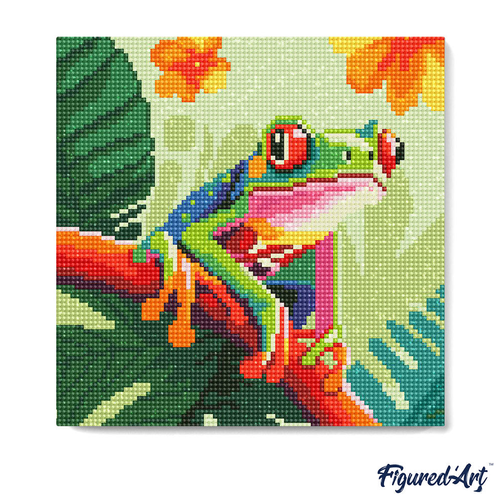 Mini Diamond Painting 25 x 25 cm ohne Keilrahmen Tropischer Rotaugen-Blattfrosch - Kidis Art