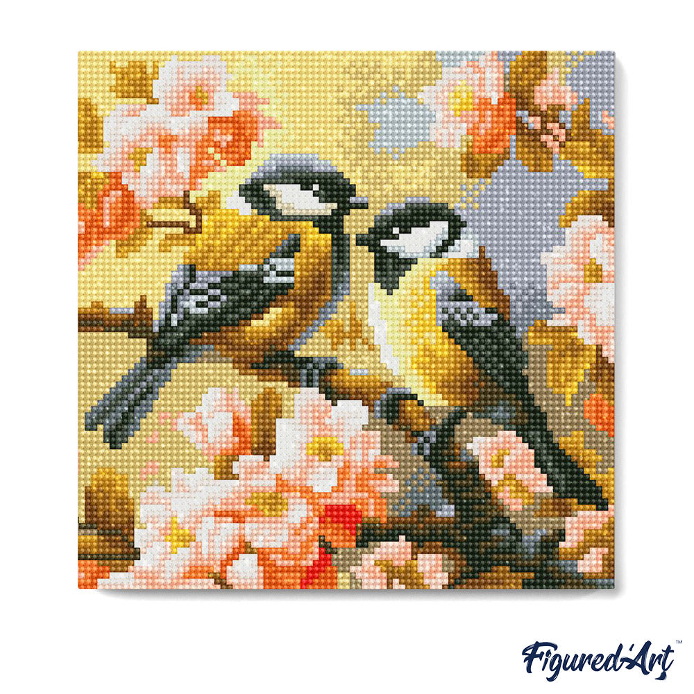 Mini Diamond Painting 25 x 25 cm ohne Keilrahmen Vogelpaar zwischen Blüten - Kidis Art