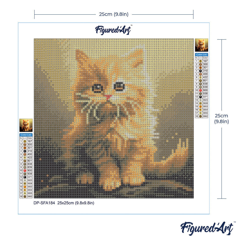 Mini Diamond Painting 25 x 25 cm ohne Keilrahmen Flauschiges Oranges Kätzchen - Kidis Art